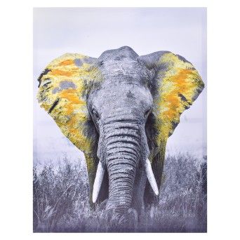 QUADRO TELA DEC 80X120 2718-020H-01CX6