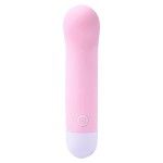 VIBRADOR 10,3X2,5 CM  2569-008-02 CX276
