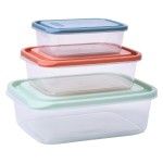 CAIXAS MULTIUSOS 3PCS SK 2630-071 CX36