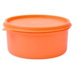 CAIXA PLASTICA 600ML LV-102 CX36