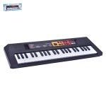 ORGAO PILHAS SK CP230915/Q-169 CX18