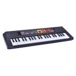 ORGAO PILHAS SK CP230915/Q-169 CX18