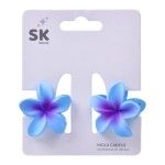 GANCHOS CABELO 2UN 4CM SK 2816-116 CX120