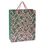 SACO PRES NTL 18X23X8 SK3024-500 CX240