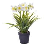 VASO C/PLANTA 8,8X7X30CM SK 2438-118 CX48