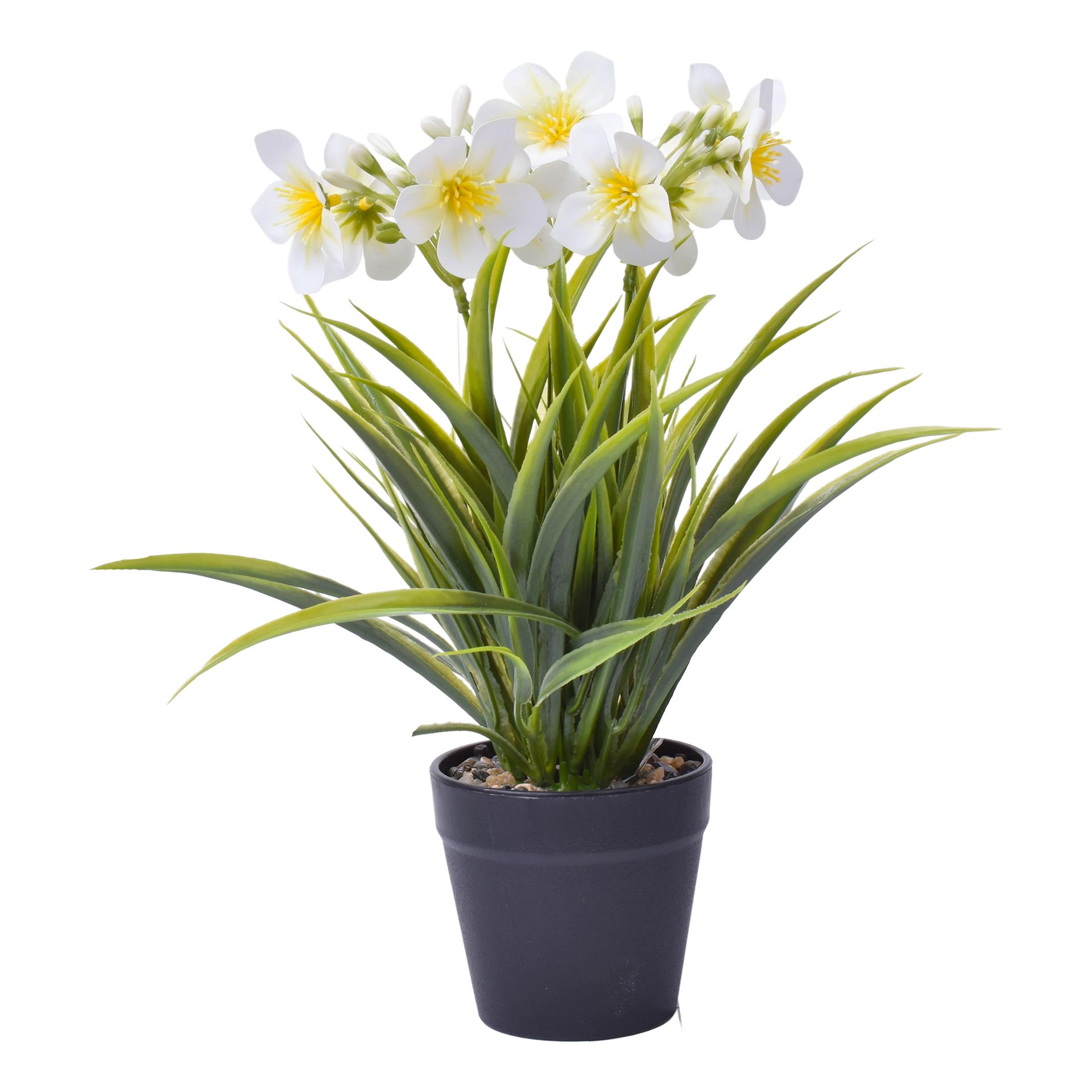 VASO C/PLANTA 8,8X7X30CM SK 2438-118 CX48 VASO C/PLANTA 8,8X7X30CM SK 2438-118 CX48