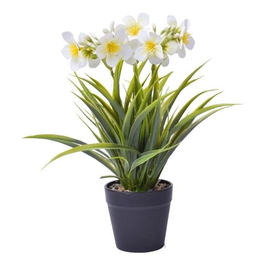 VASO C/PLANTA 8,8X7X30CM SK 2438-118 CX48 VASO C/PLANTA 8,8X7X30CM SK 2438-118 CX48
