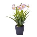 VASO C/PLANTA 8,8X7X30CM SK 2438-118 CX48