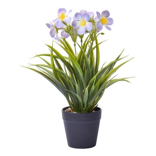 VASO C/PLANTA 8,8X7X30CM SK 2438-118 CX48 VASO C/PLANTA 8,8X7X30CM SK 2438-118 CX48