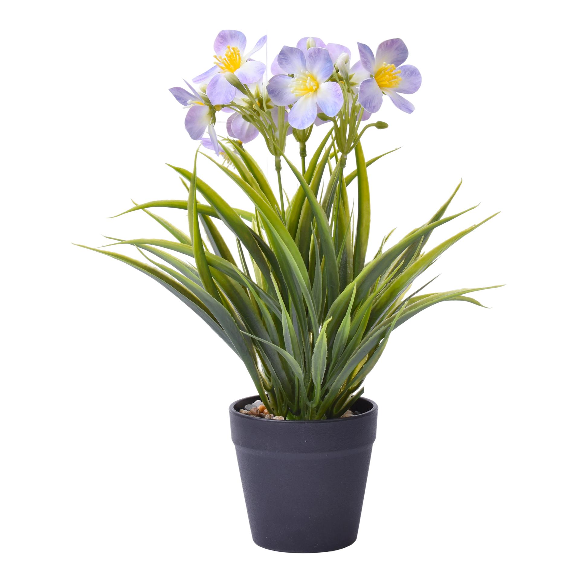 VASO C/PLANTA 8,8X7X30CM SK 2438-118 CX48 VASO C/PLANTA 8,8X7X30CM SK 2438-118 CX48