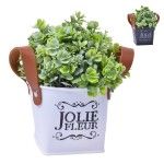 VASO C/PLANTA 10X10X20CM SK 2438-114 CX48