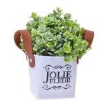 VASO C/PLANTA 10X10X20CM SK 2438-114 CX48