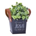 VASO C/PLANTA 10X10X20CM SK 2438-114 CX48