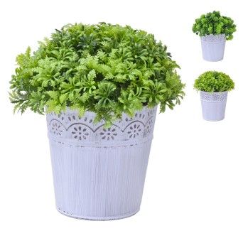 VASO C/PLANTA 10X10X20CM SK 2438-115 CX48