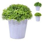 VASO C/PLANTA 10X10X20CM SK 2438-115 CX48