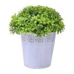VASO C/PLANTA 10X10X20CM SK 2438-115 CX48
