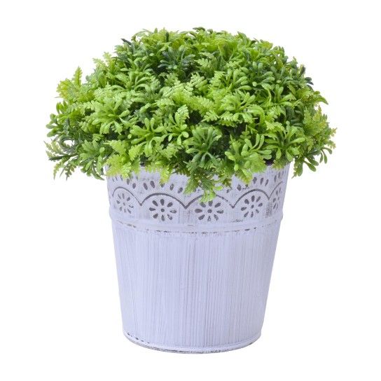 VASO C/PLANTA 10X10X20CM SK 2438-115 CX48 VASO C/PLANTA 10X10X20CM SK 2438-115 CX48
