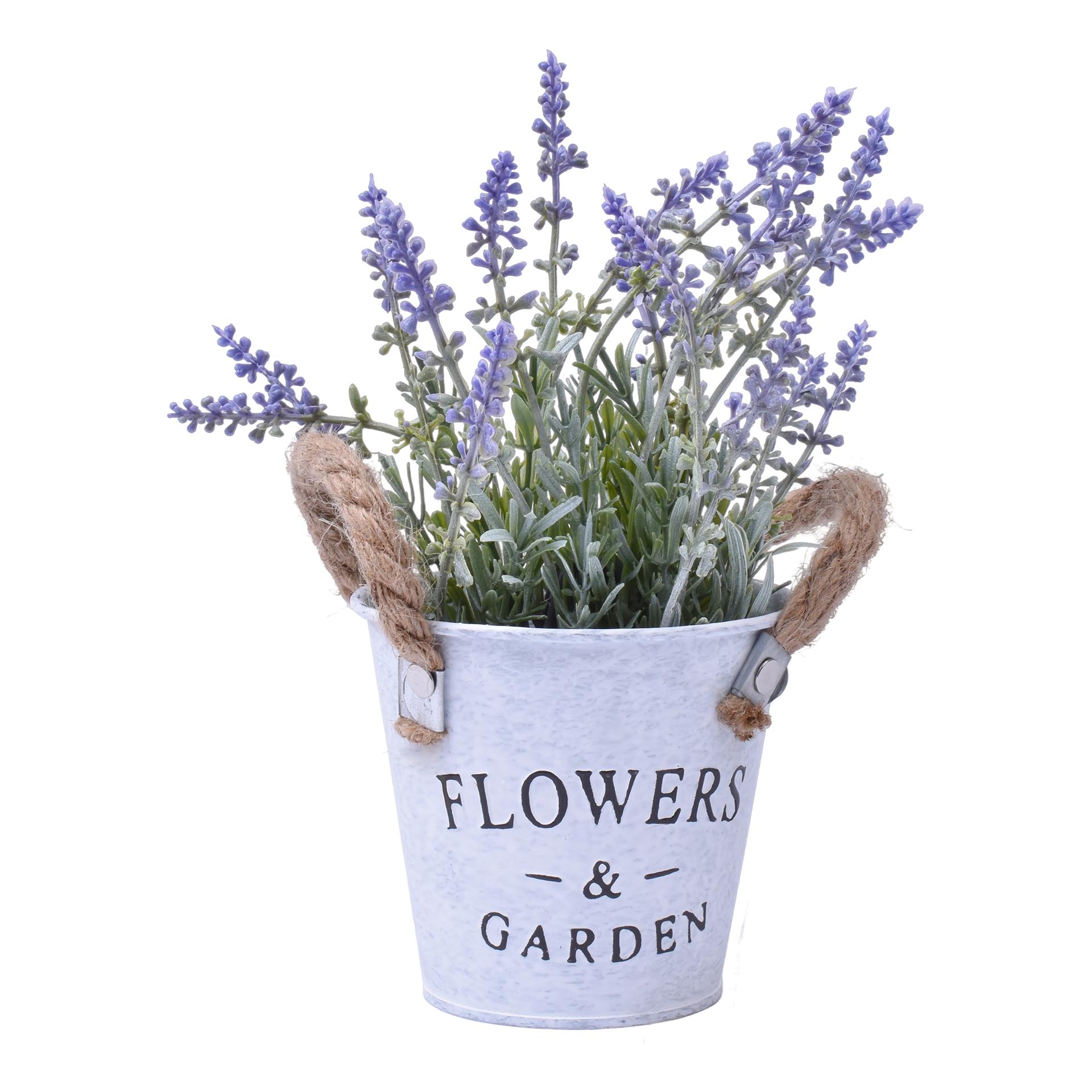 VASO C/PLANTA 11X10X25CM SK 2438-113 CX48 VASO C/PLANTA 11X10X25CM SK 2438-113 CX48