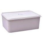 CAIXA PLASTICA 5L 0302-302 CX24
