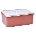 CAIXA PLASTICA 5L 0302-302 CX24