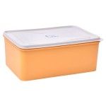 CAIXA PLASTICA 5L 0302-302 CX24