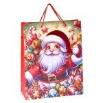 SACO NATAL 3D 40X55X15 2710-034-04 CX60
