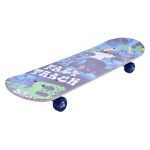SKATE 70X20 SK 207-208 CX6