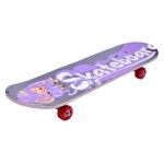 SKATE 70X20 SK 207-208 CX6