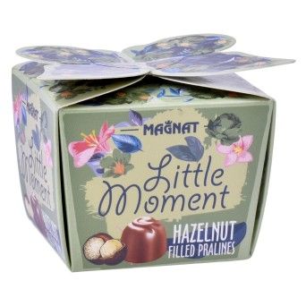 MAGNAT LITTLE MOMENT HAZELNUT 53G