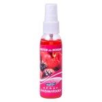 AMBIENTADOR SPRAY P/CARRO 55ML 01908 AMBIENTADOR SPRAY P/CARRO 55ML 01908