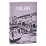 LIVRO DECOR 27X17X4,5CM SK 207-247C CX48