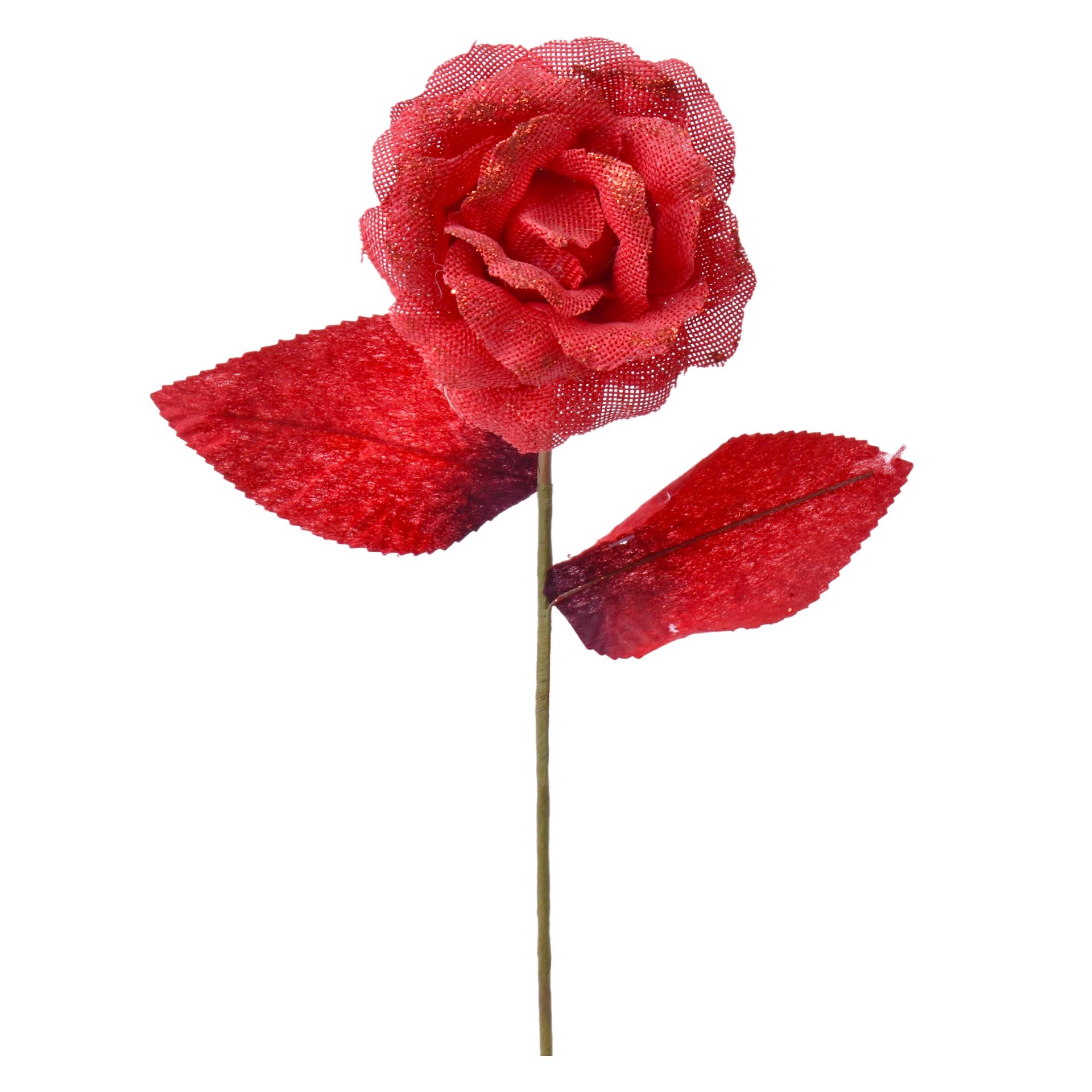 FLOR NATAL 4998443 LUNA FLOR NATAL 4998443 LUNA
