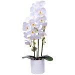VASO C/ FLOR 14X14X76CM SK 2439-072 CX6 VASO C/ FLOR 14X14X76CM SK 2439-072 CX6