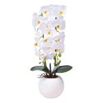 VASO C/FLOR 15X15X60CM SK 2439-071 CX6 VASO C/FLOR 15X15X60CM SK 2439-071 CX6