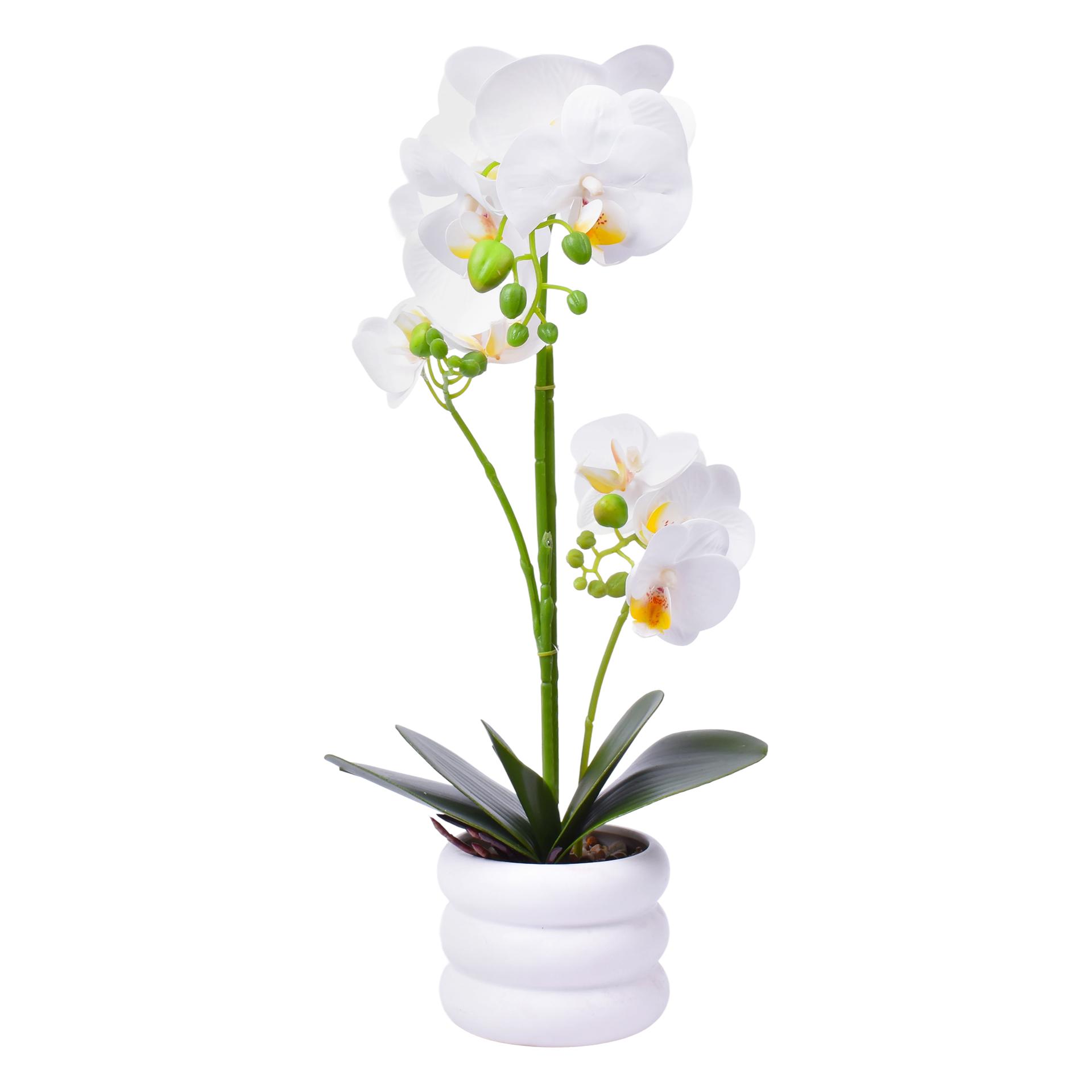 VASO C/FLOR 12X9X45CM SK 2439-068 CX12 VASO C/FLOR 12X9X45CM SK 2439-068 CX12