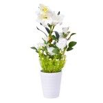 VASO C/FLOR 13X15X60CM 2439-503 CX12 VASO C/FLOR 13X15X60CM 2439-503 CX12