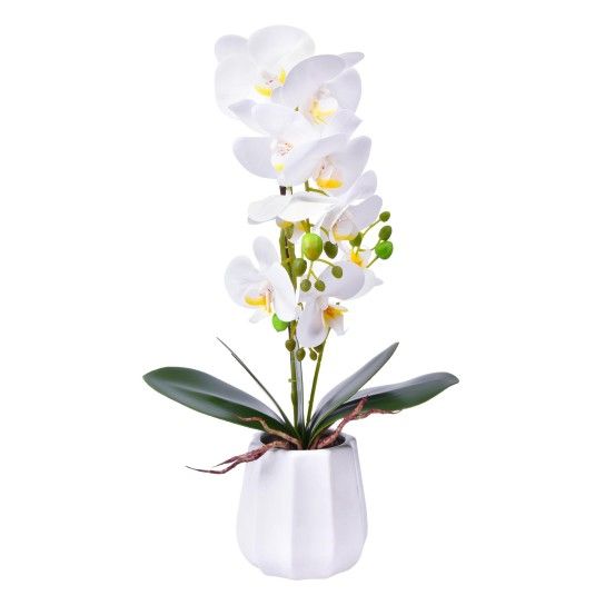 VASO C/FLOR 56 2439-116 CX12 VASO C/FLOR 56 2439-116 CX12