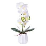 VASO C/FLOR 56 2439-116 CX12 VASO C/FLOR 56 2439-116 CX12