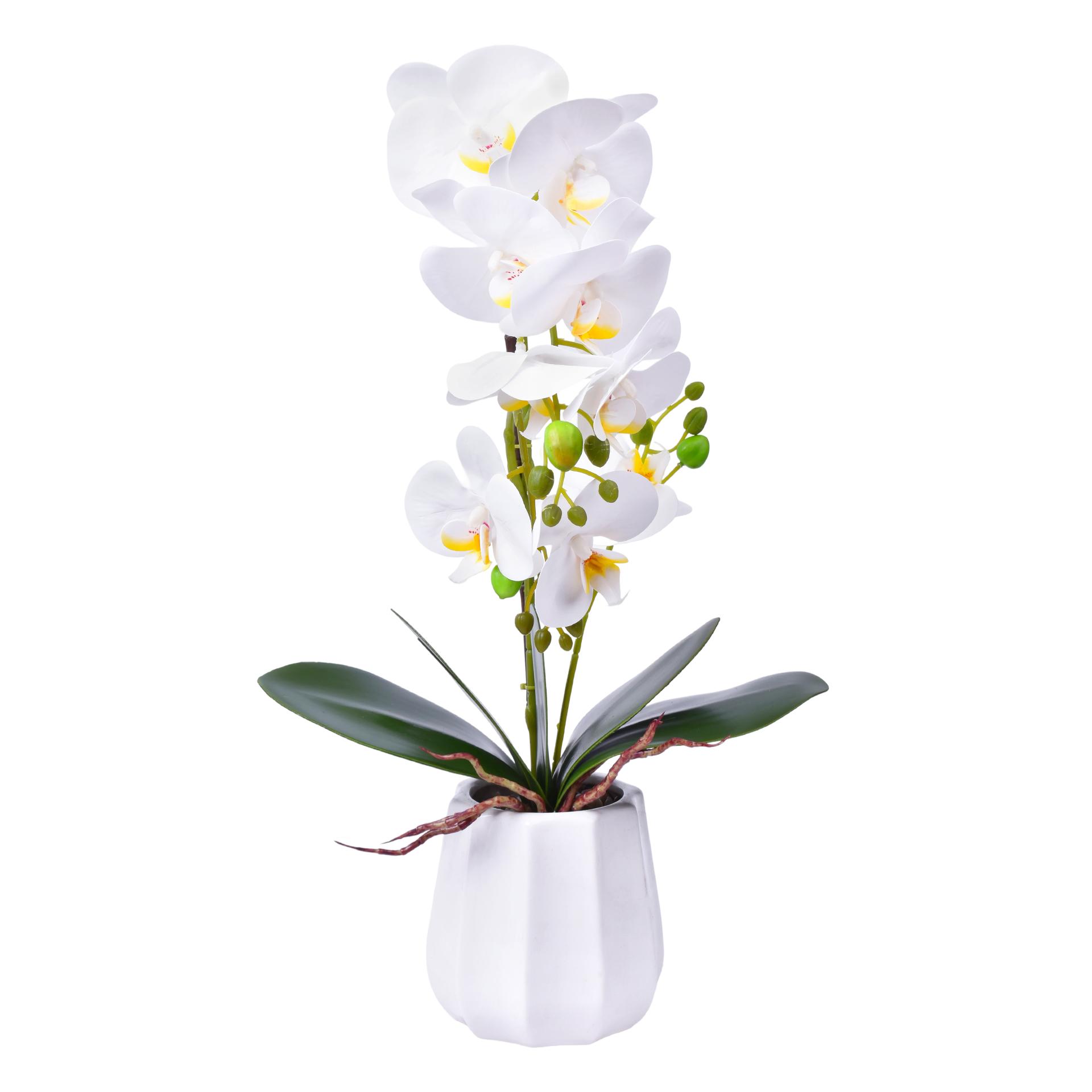 VASO C/FLOR 56 2439-116 CX12 VASO C/FLOR 56 2439-116 CX12
