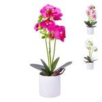 VASO C/FLOR 10X37 2439-038 CX24 VASO C/FLOR 10X37 2439-038 CX24