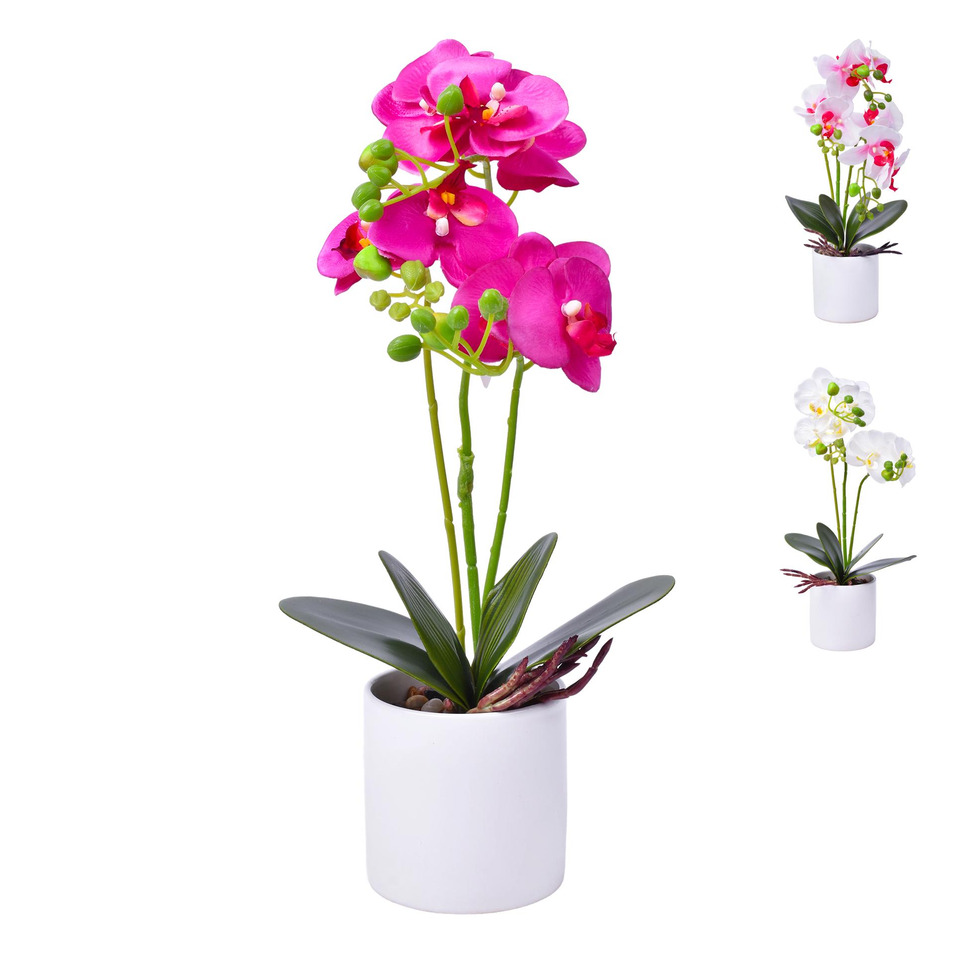 VASO C/FLOR 10X37 2439-038 CX24 VASO C/FLOR 10X37 2439-038 CX24