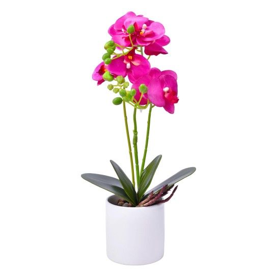 VASO C/FLOR 10X37 2439-038 CX24 VASO C/FLOR 10X37 2439-038 CX24