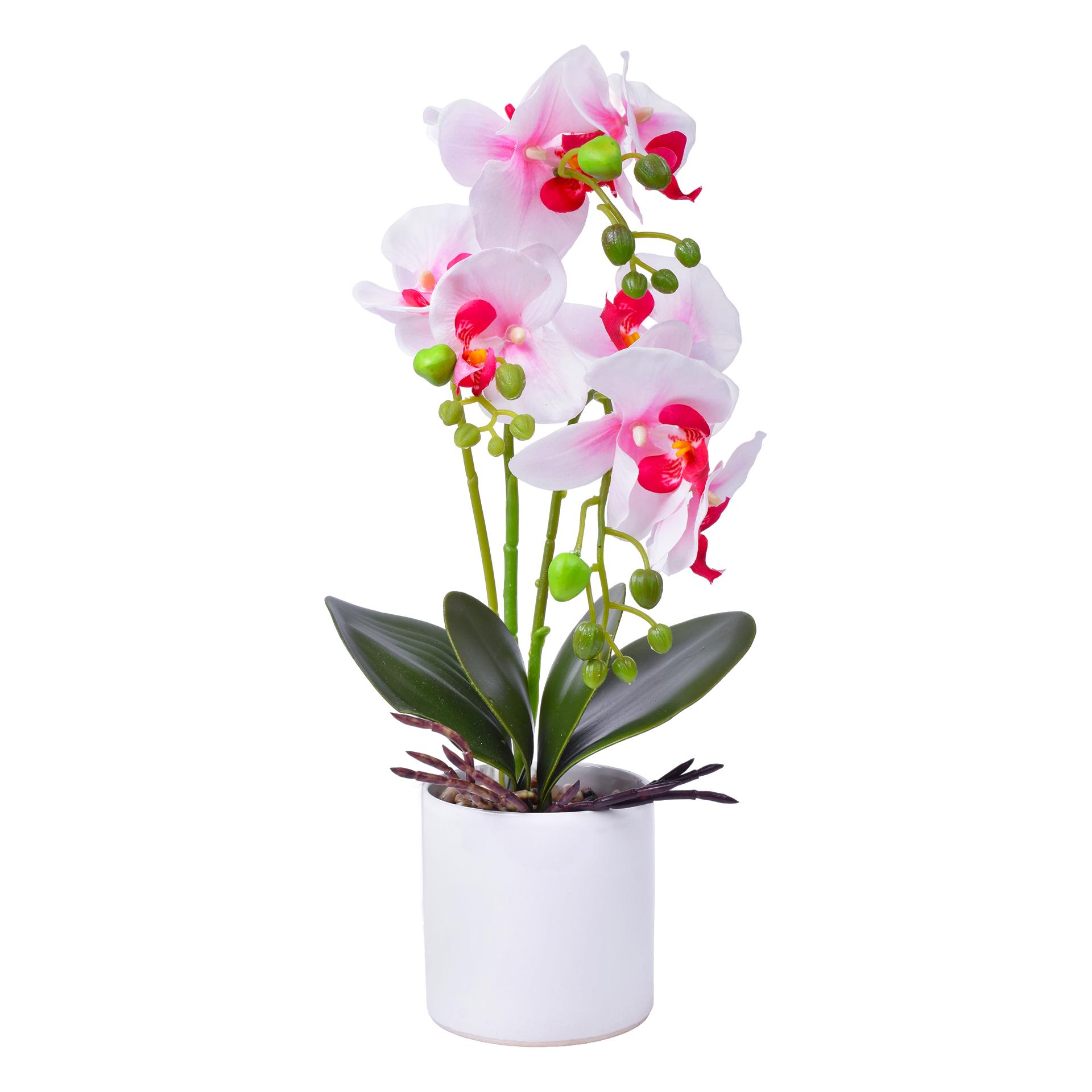 VASO C/FLOR 10X37 2439-038 CX24 VASO C/FLOR 10X37 2439-038 CX24