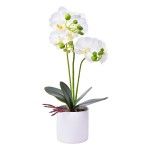 VASO C/FLOR 10X37 2439-038 CX24 VASO C/FLOR 10X37 2439-038 CX24