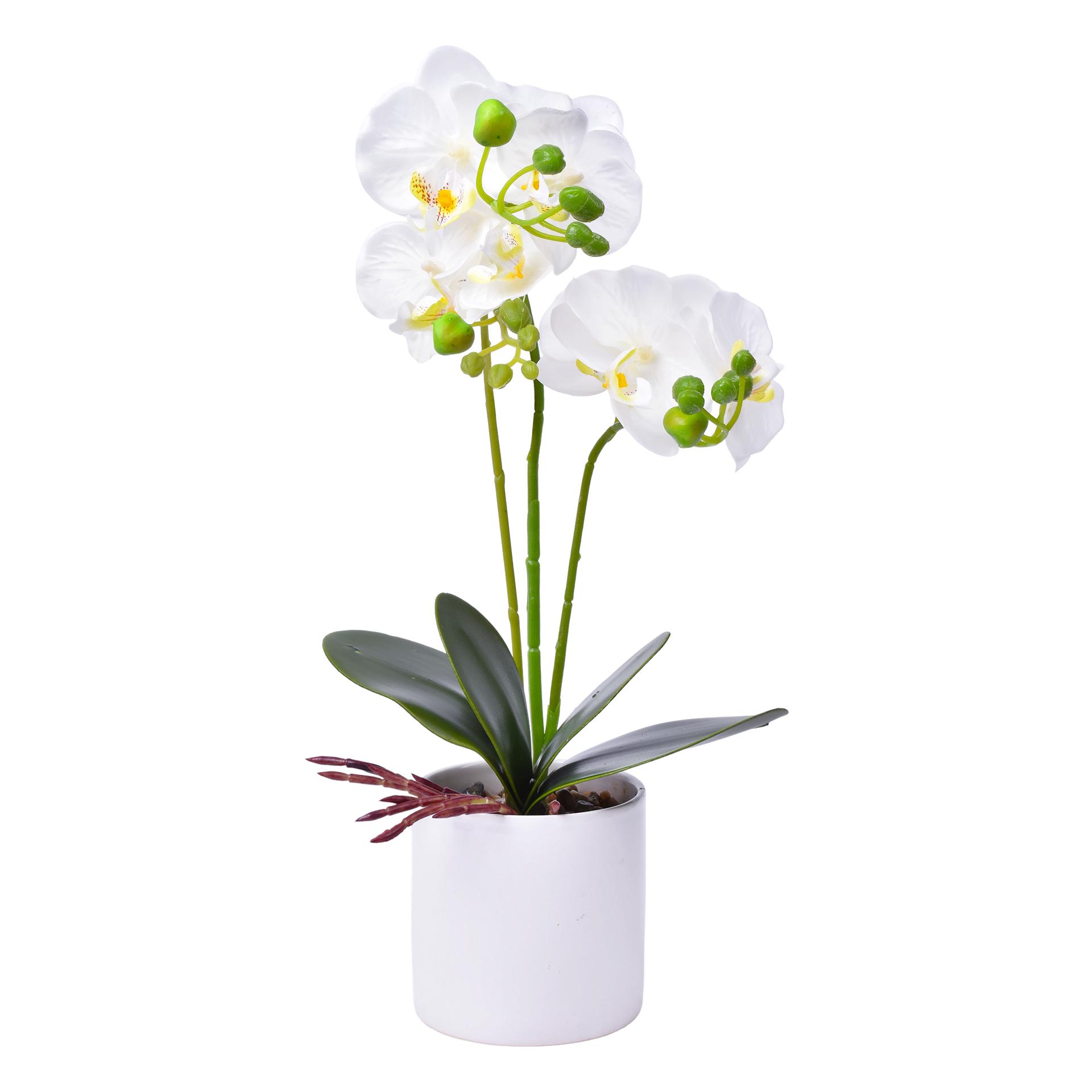 VASO C/FLOR 10X37 2439-038 CX24 VASO C/FLOR 10X37 2439-038 CX24