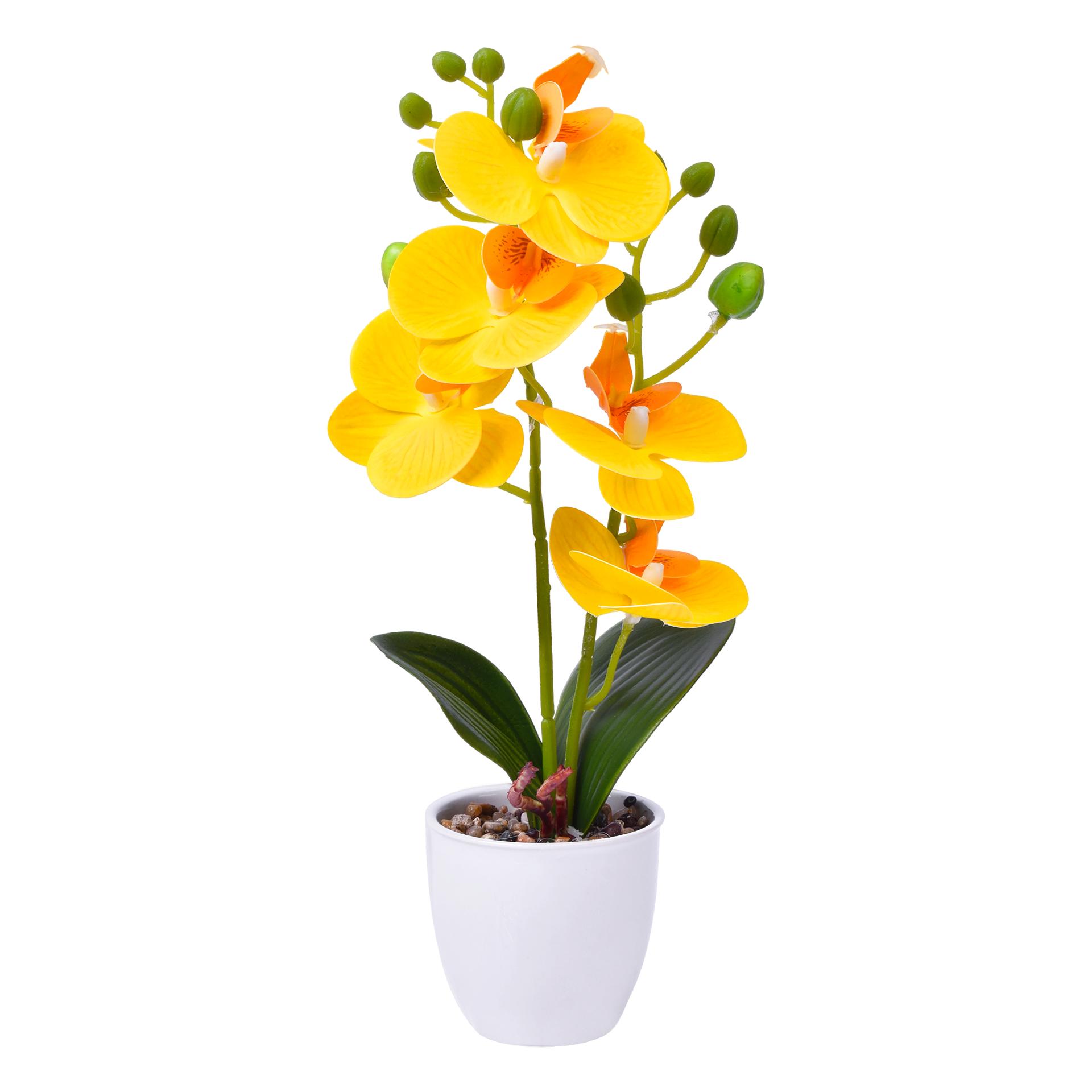 VASO C/FLOR 8X31 2439-032 CX48 VASO C/FLOR 8X31 2439-032 CX48