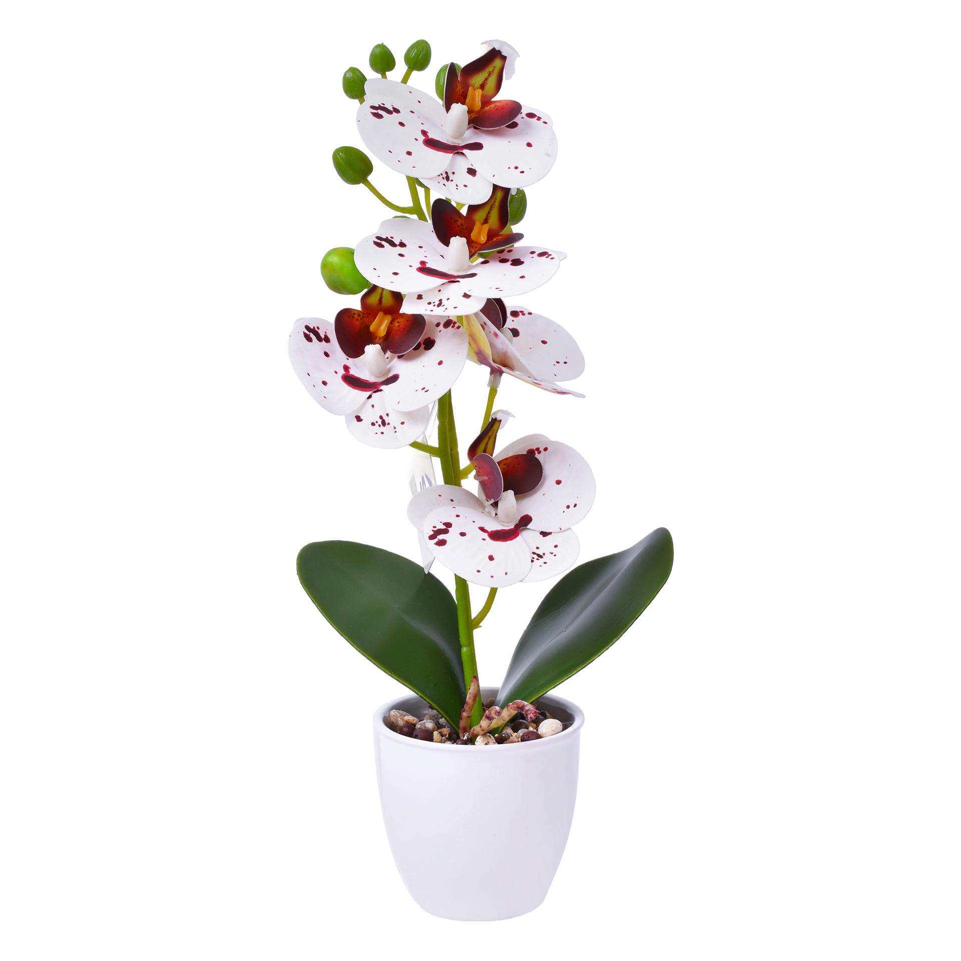 VASO C/FLOR 8X31 2439-032 CX48 VASO C/FLOR 8X31 2439-032 CX48