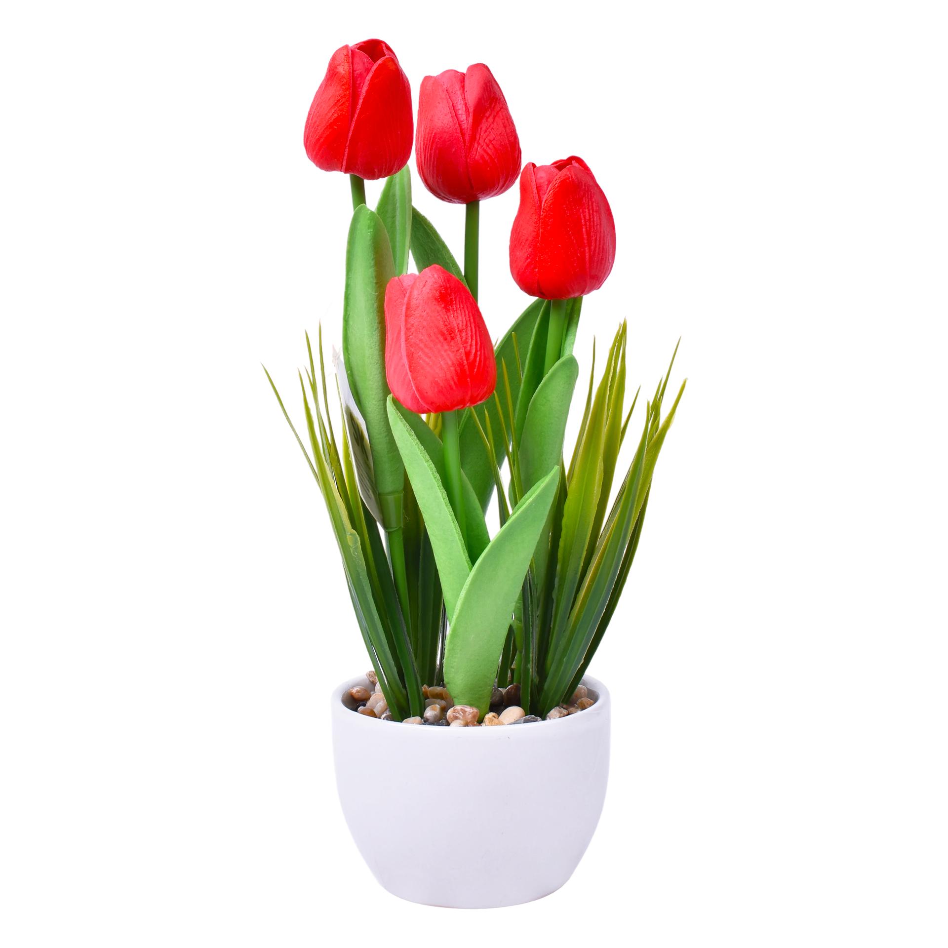 VASO C/FLOR 29 2439-600 CX24 VASO C/FLOR 29 2439-600 CX24