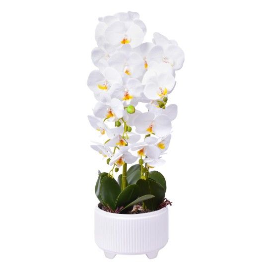 VASO C/FLOR 70 2439-121 CX6 VASO C/FLOR 70 2439-121 CX6