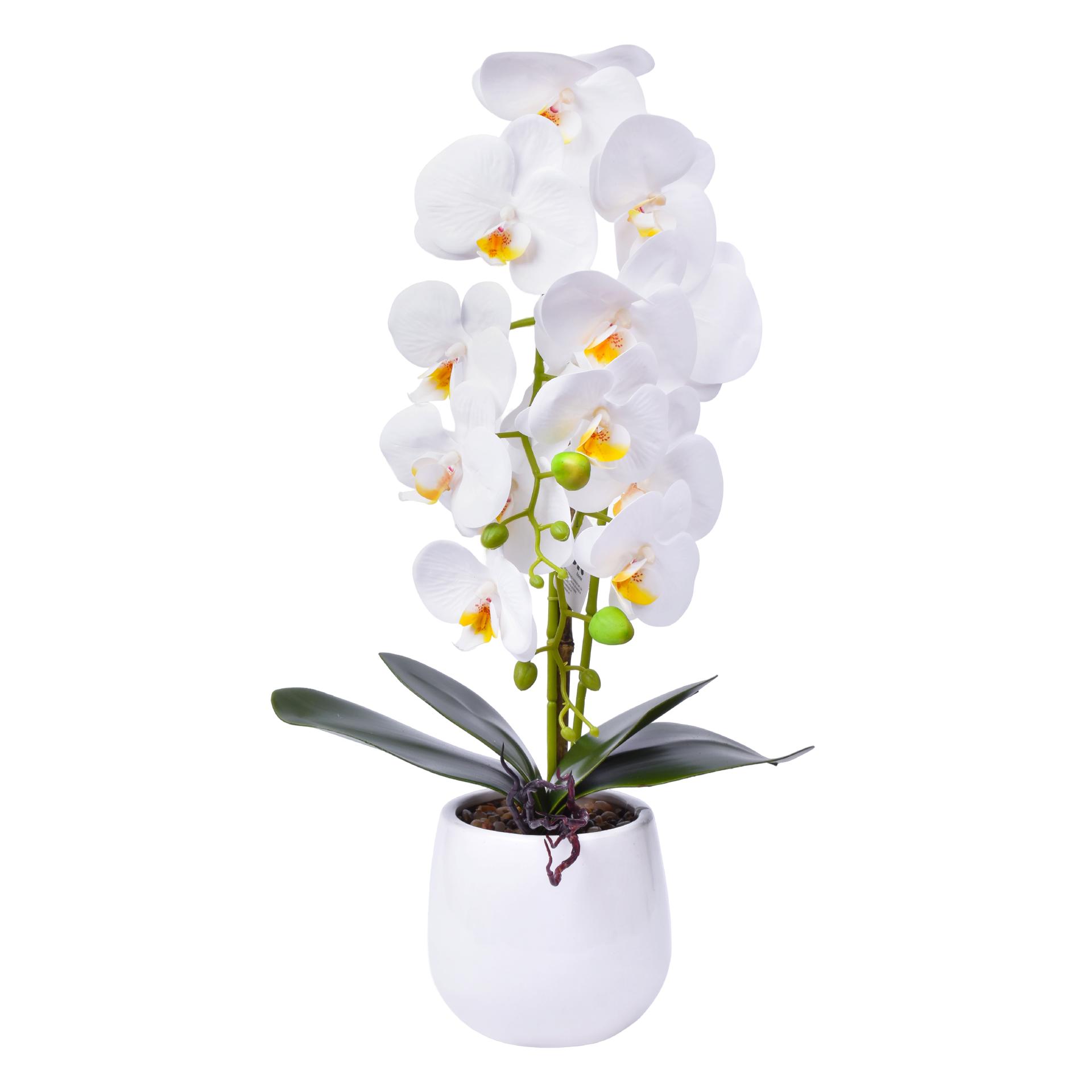 VASO C/FLOR 12X13X55CM SK 2439-069 CX12 VASO C/FLOR 12X13X55CM SK 2439-069 CX12